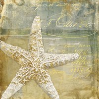 Golden Sea IV Fine Art Print