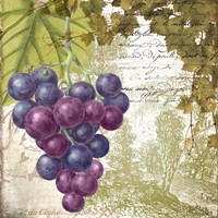 Vigneto Fine Art Print