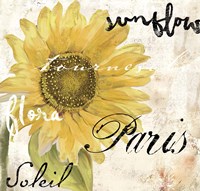 Paris Songs I Fine Art Print