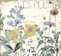 Mirabelle II Fine Art Print