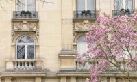 Facade With Magnolia Fine Art Print