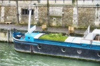 Garden Boat In The Seine River Fine Art Print