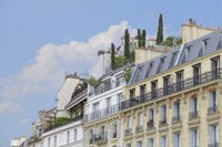 Paris' Roof Gardens Fine Art Print