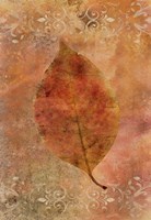 Picked Up Autumn Leaf I Framed Print