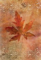 Picked Up Autumn Leaf II Fine Art Print