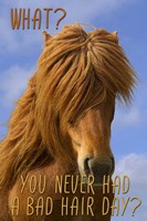 Bad Hair Day Fine Art Print