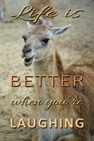 Life Is Better Laughing Fine Art Print