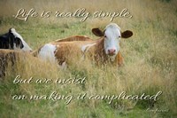 Life Is Simple Fine Art Print
