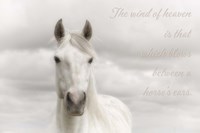 Wind Of Heaven Fine Art Print