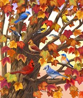 Maple Tree Marvel Fine Art Print