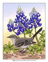 State Birds And Flowers TX Fine Art Print