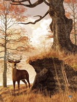 Autumn Buck Fine Art Print