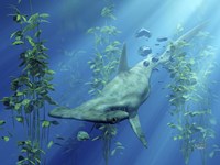 Hammerhead Art Fine Art Print