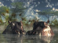 Hippos Coming To Get You Fine Art Print