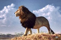 Impressionist Lion Fine Art Print