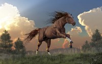 Running Free Fine Art Print