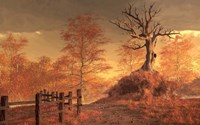 The Dead Tree Fine Art Print