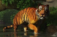 Wading Tiger Fine Art Print