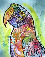Macaw Fine Art Print