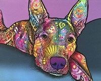 Rocky Fine Art Print