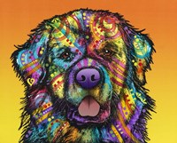 Newfie Fine Art Print