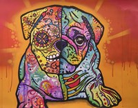 Sugar Pug Fine Art Print