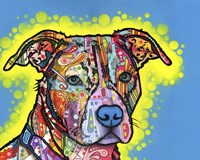 Painted Pit Fine Art Print