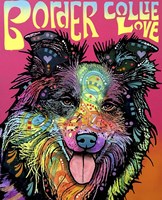 Border Collie Love Fine Art Print