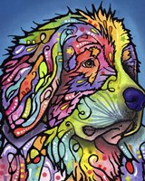 Mountain Dog Fine Art Print