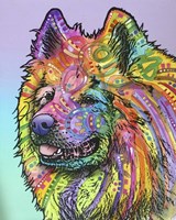 Samoyed Fine Art Print