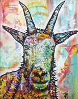 Look Who Smiling Now Fine Art Print