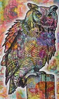 Owl Perch Fine Art Print