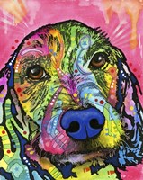 Take me Home Please Fine Art Print