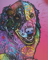 Splatter Fine Art Print