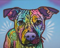 Roo Fine Art Print