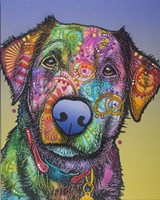 Pullo Custom 3 Fine Art Print