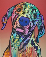 Napoleon 14 Fine Art Print