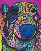 Oliver 16 Fine Art Print