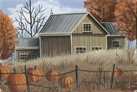 Pumpkin Field Fine Art Print