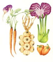 Garlic and Friends Market Fine Art Print