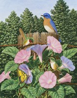 September Morning Fine Art Print