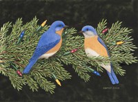 Christmas Blues Fine Art Print
