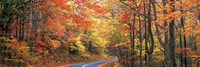 October Road Fine Art Print