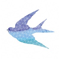 Swallow Framed Print