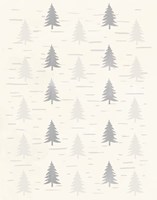 Cream Birch Trees Fine Art Print