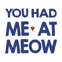 Crazy Meow Fine Art Print