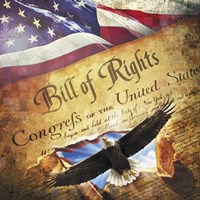 Bill of Rights Eagle Bursting Out Fine Art Print
