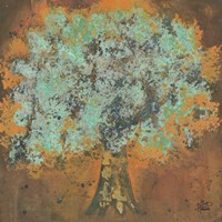 Aged to Perfection Fine Art Print