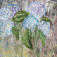 Hydrangeas in Bloom Fine Art Print