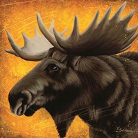 You Lookin' at My Rack? Fine Art Print